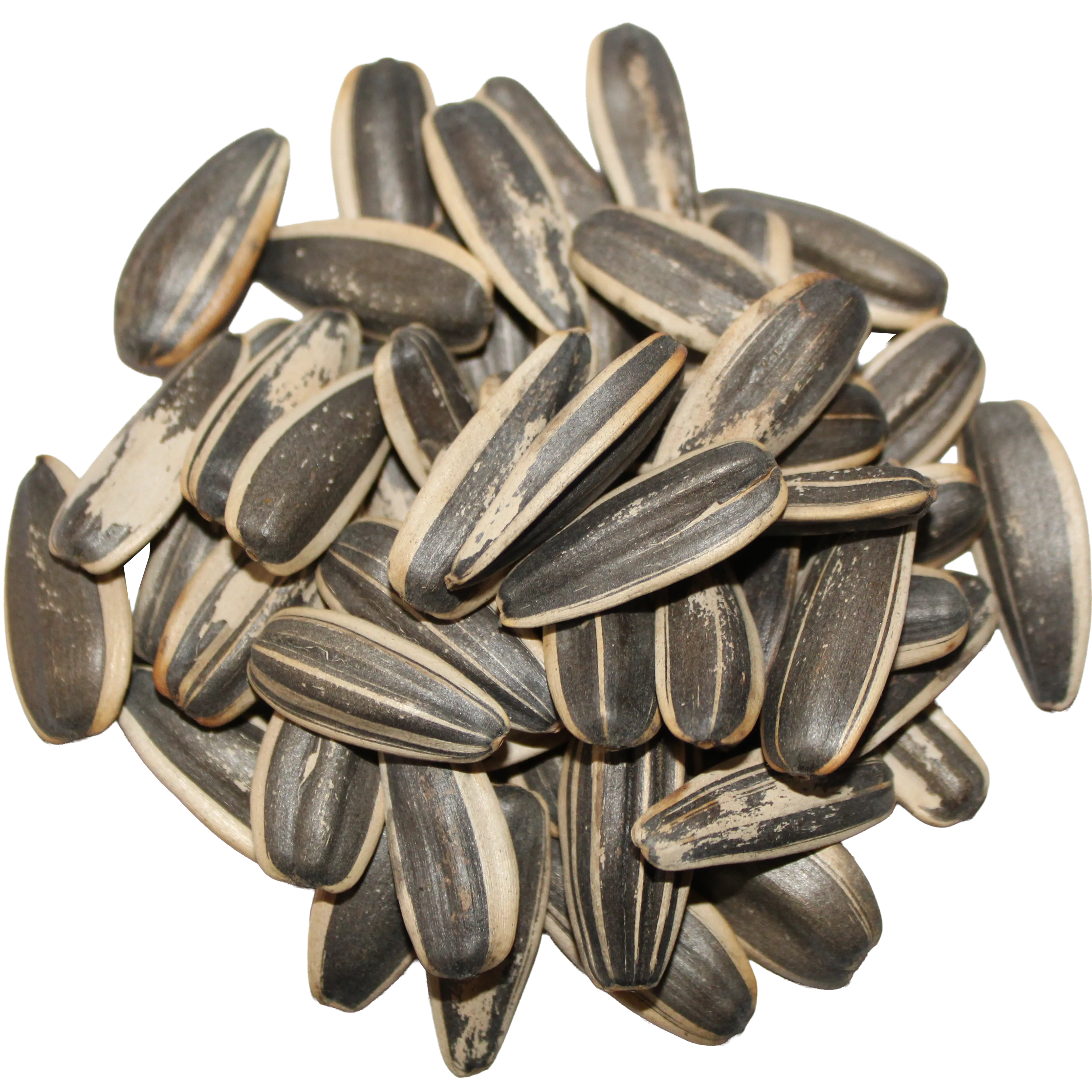 Unsalted Sunflower Seeds With Shell